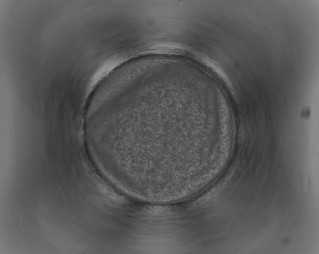 X0000091901362200710031814