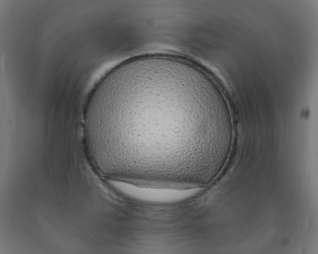 X0000091901363200710031814