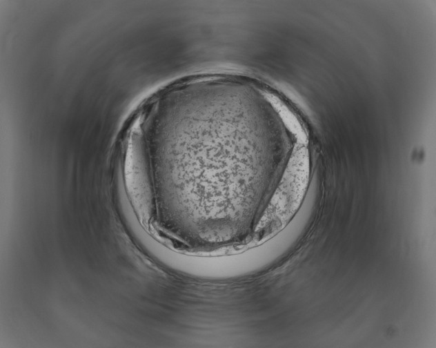 X0000091901364200710031814