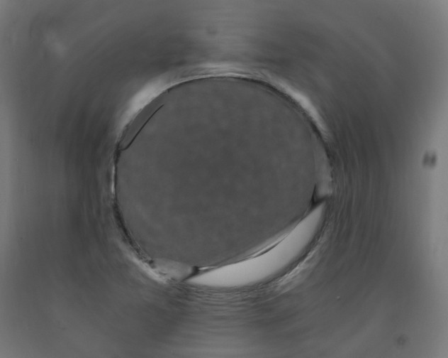 X0000091901365200710031814