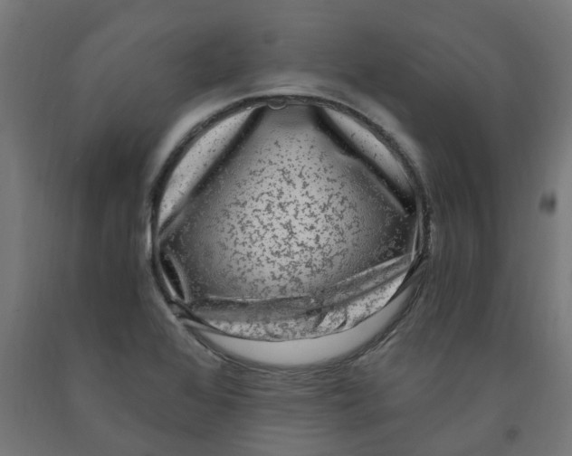 X0000091901368200710031814