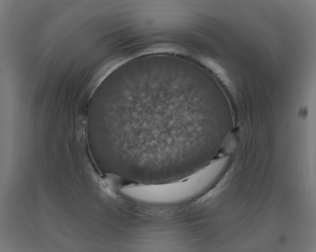 X0000091901369200710031814