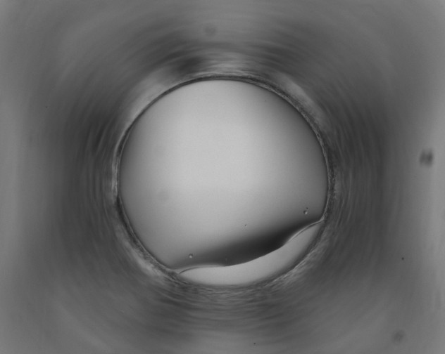 X0000091901370200710031814