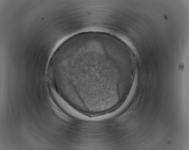 X0000091901372200710031814