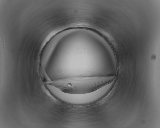 X0000091901374200710031814