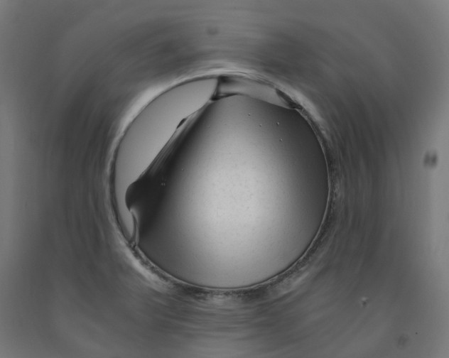 X0000091901375200710031814