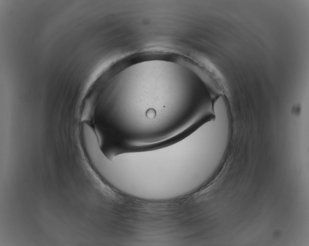 X0000091901376200710031814