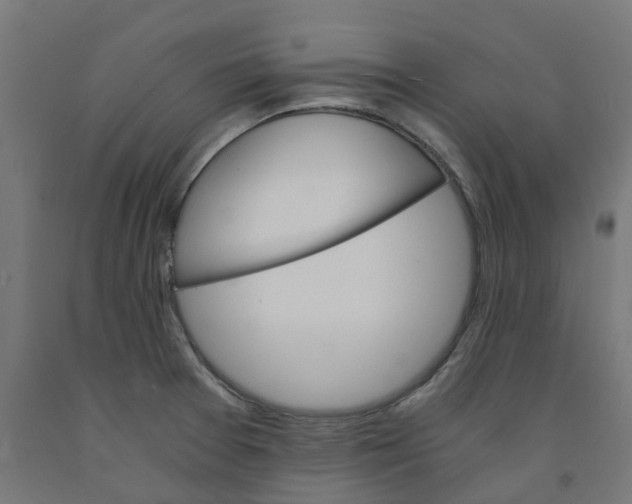 X0000091901377200710031814