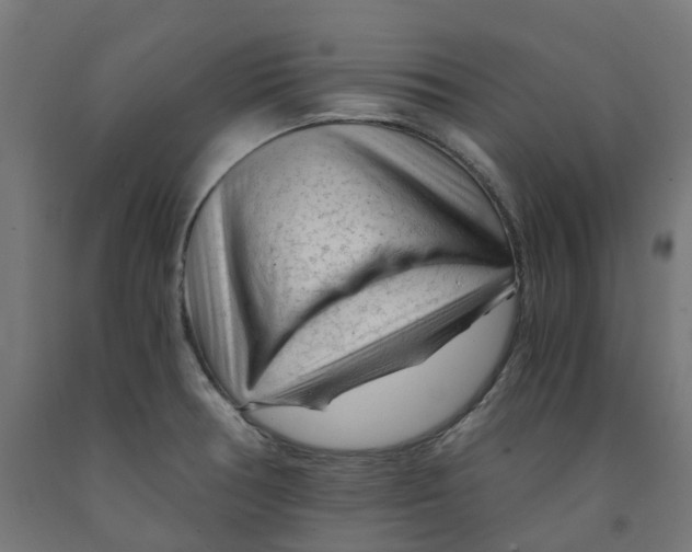 X0000091901378200710031814