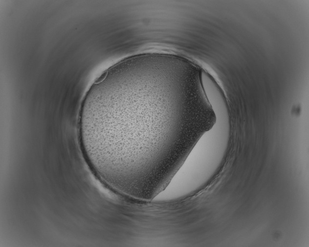 X0000091901379200710031814