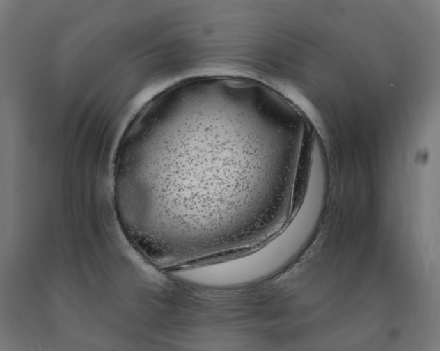 X0000091901380200710031814