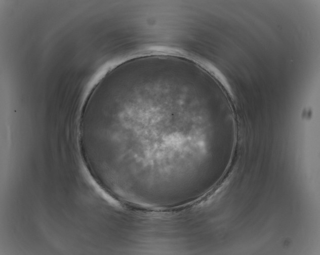 X0000091901381200710031814