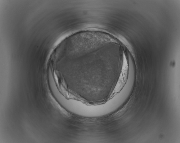 X0000091901384200710031814