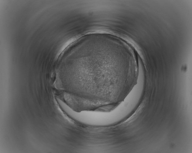 X0000091901385200710031814