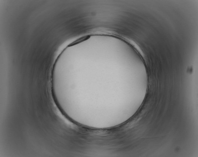 X0000091901387200710031814