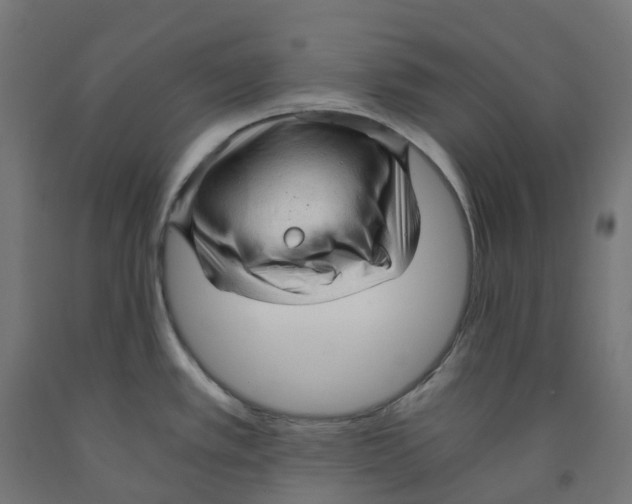 X0000091901389200710031814