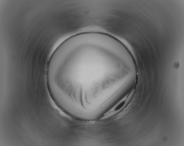 X0000091901390200710031814