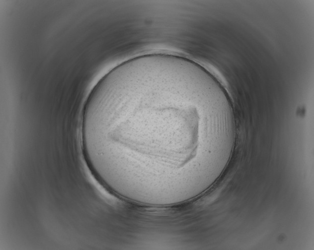 X0000091901391200710031814