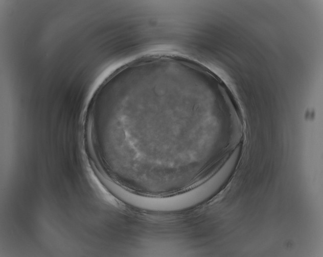 X0000091901392200710031814