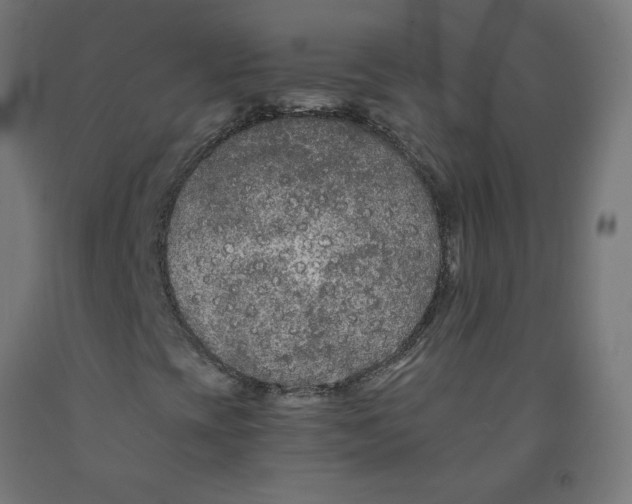 X0000091901393200710031813