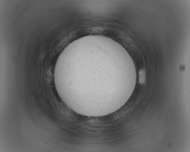 X0000091901395200710031813