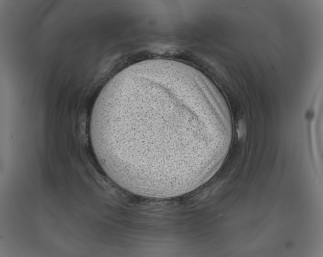 X0000091901396200710031813