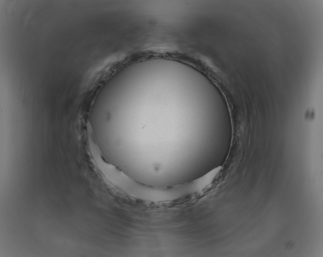 X0000091901398200710031813