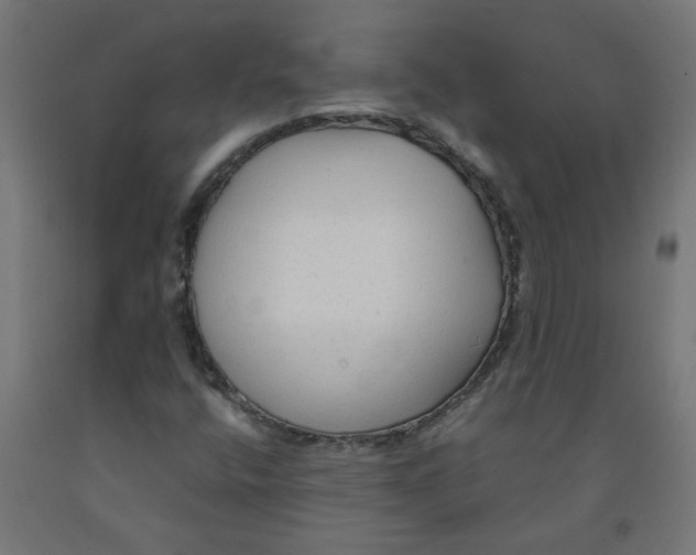 X0000091901400200710031813