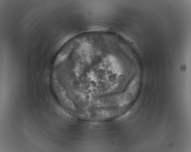 X0000091901401200710031813