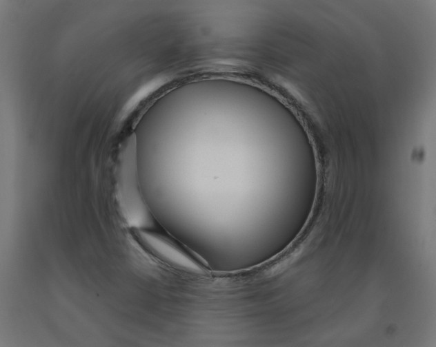 X0000091901402200710031813