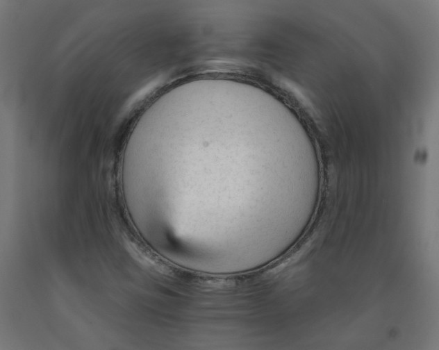 X0000091901403200710031813