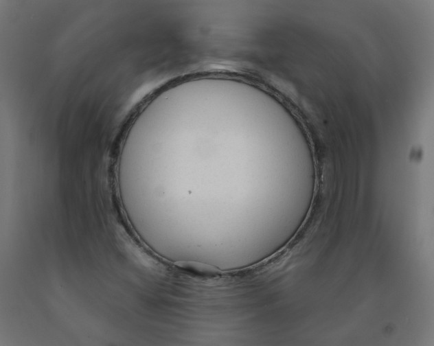 X0000091901404200710031813