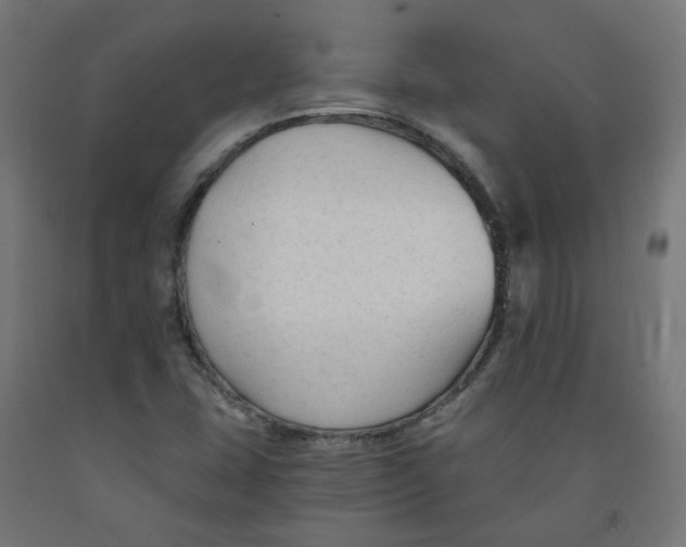 X0000091901407200710031813