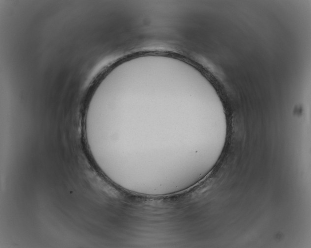 X0000091901408200710031813