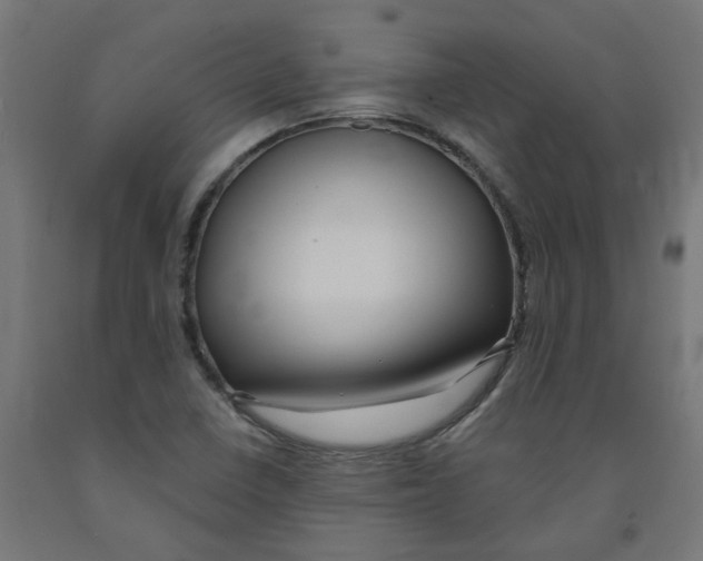 X0000091901410200710031813