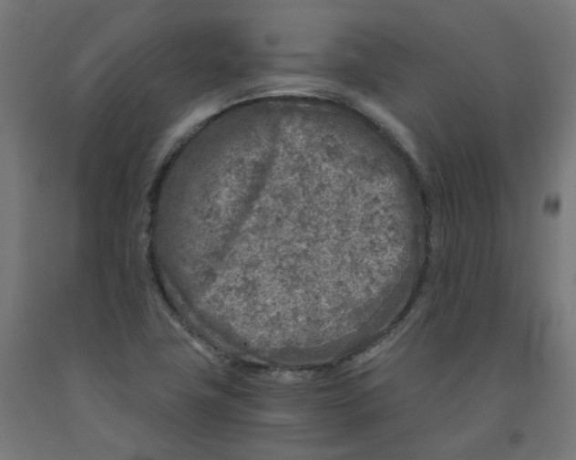 X0000091901411200710031813