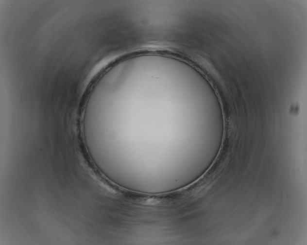 X0000091901412200710031813