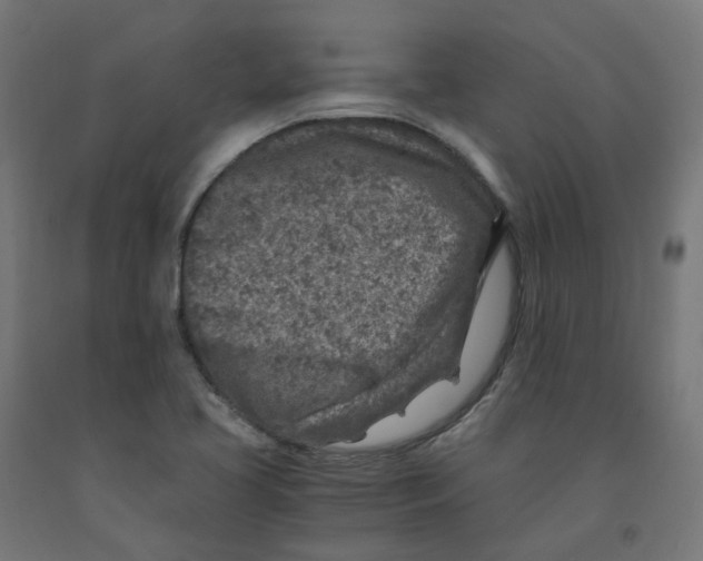 X0000091901413200710031813