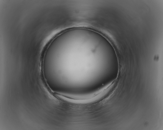 X0000091901414200710031813