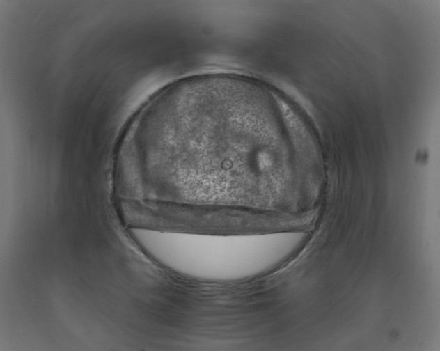 X0000091901415200710031813