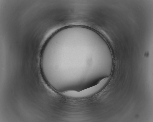 X0000091901416200710031813