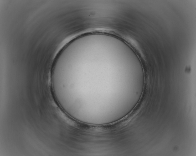 X0000091901420200710031813