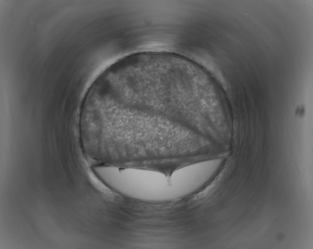 X0000091901421200710031813