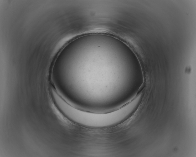 X0000091901422200710031813