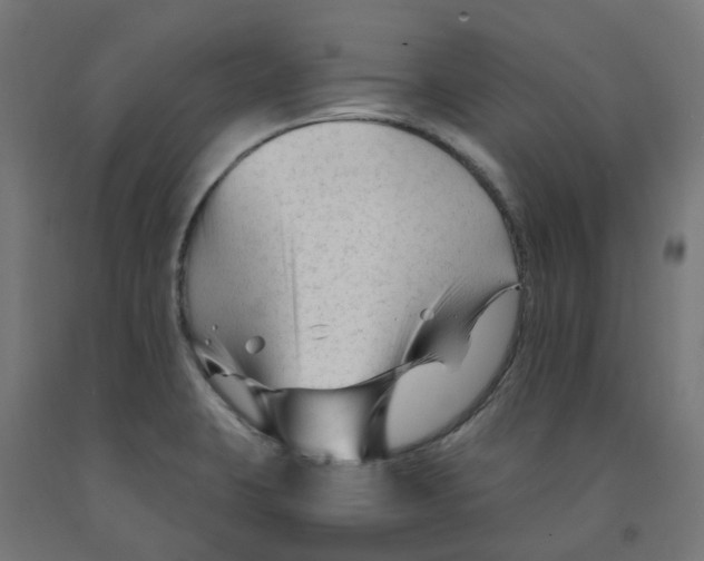 X0000091901423200710031813