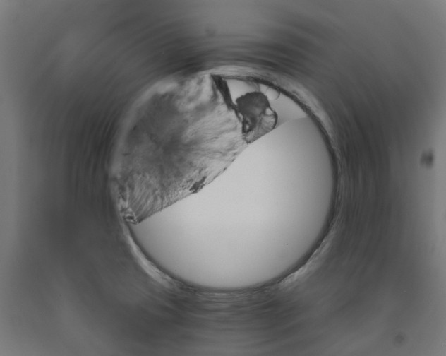 X0000091901425200710031813