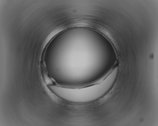 X0000091901426200710031813