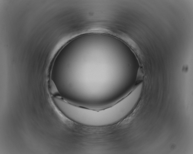 X0000091901430200710031813