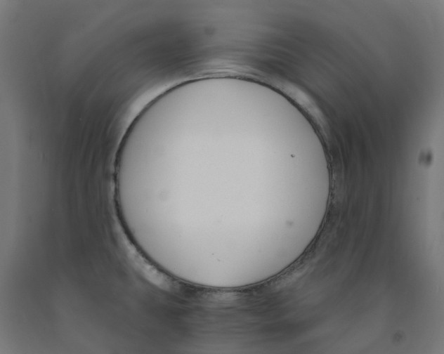 X0000091901431200710031813