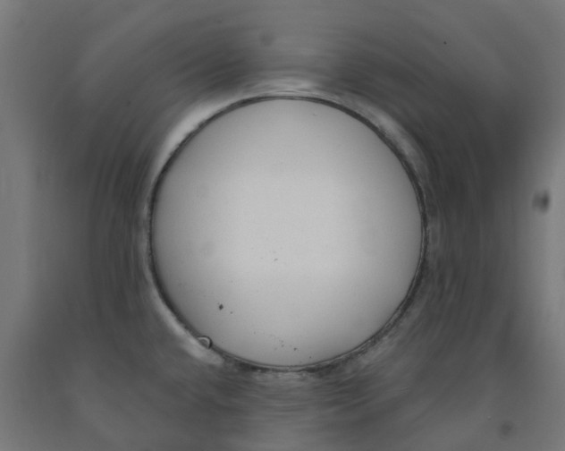 X0000091901432200710031814